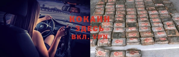 ГАЛЛЮЦИНОГЕННЫЕ ГРИБЫ Аркадак