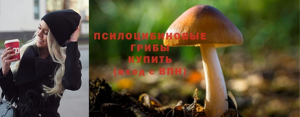 ГАЛЛЮЦИНОГЕННЫЕ ГРИБЫ Аркадак