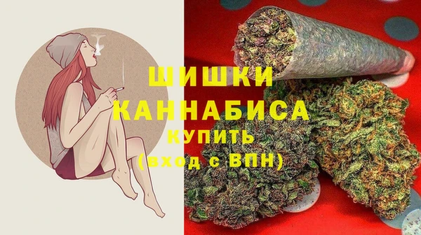 ГАЛЛЮЦИНОГЕННЫЕ ГРИБЫ Аркадак